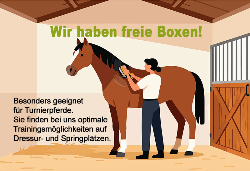 freie boxen